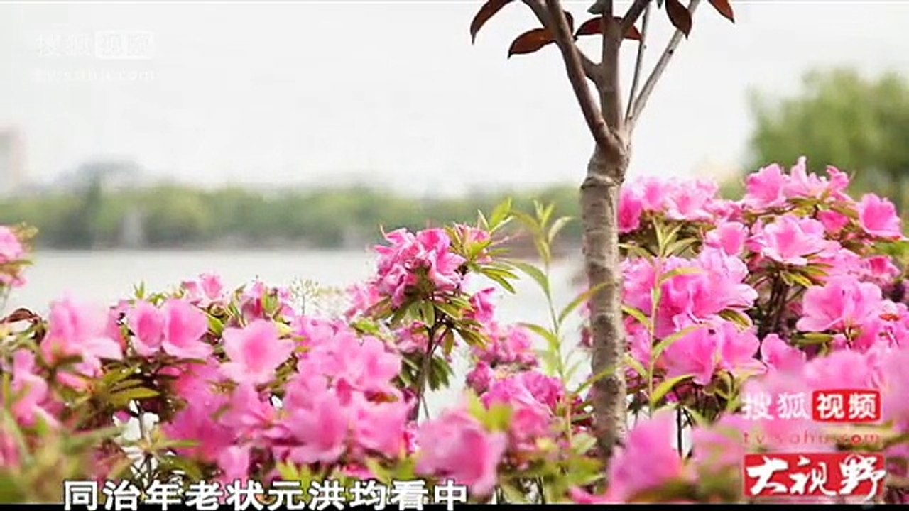 纪录片《揭秘老北京风月场八大胡同》第四集：花魁造事