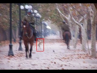 imagenes no vistas de duendes (posiblemente)