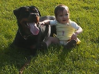 Altess aus dem lande der musketiere