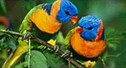 KBC rahul petla - Copy_mpeg4.mp4