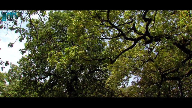 Rakesh Barot New Song | Ghadial Na Takore | VIDEO SONG | Kem Re Bhulay Sajan Tari Preet