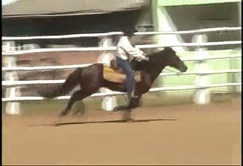 São Martin Fernandino - Cabanha São Pedro