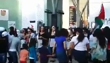 دبكه شله بنات فلسطين dabka paledtaine