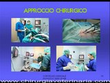 Chirurgia Mini Invasiva e Diagnostica Endoscopica animali domestici, esotici e selvatici