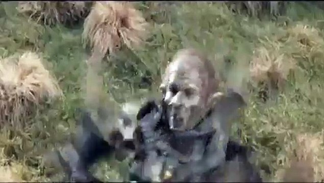 Legolas Best Moments/Scenes - Lord of the Rings