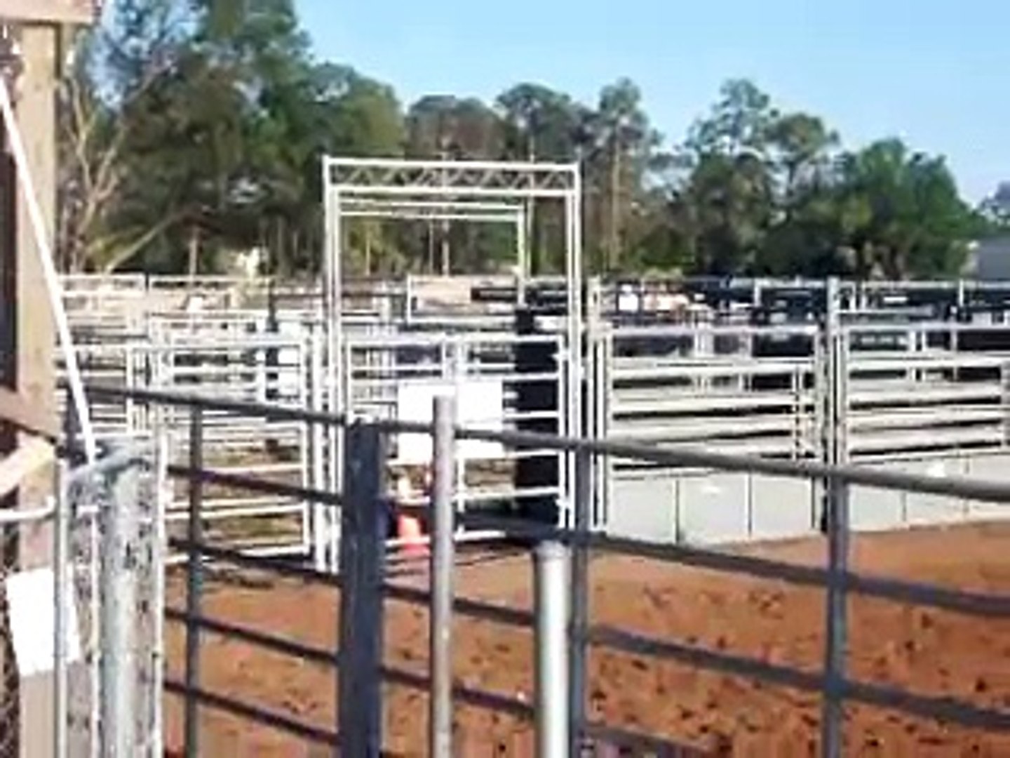 barrel race