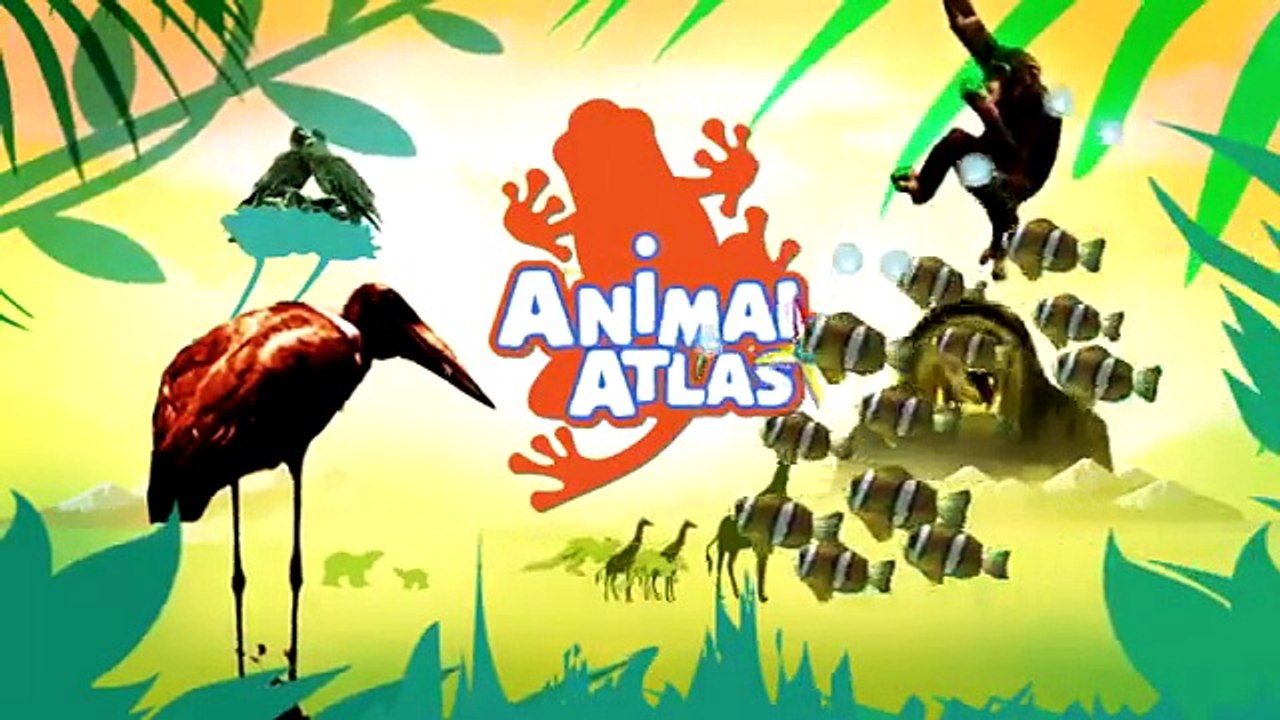 Commonalities (Animal Atlas)