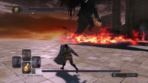Dark Souls 2 - The Wall vs Ancient Dragon