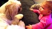 Funny cats , Dogs and babies playing together Cute Dog & cat & baby compilation Dogs
