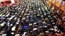 shia@nimbuzz.com