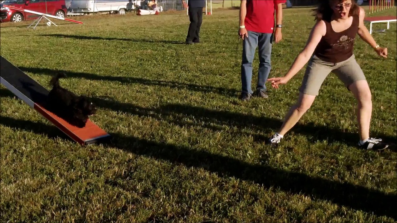 Brevet d'agility maylee