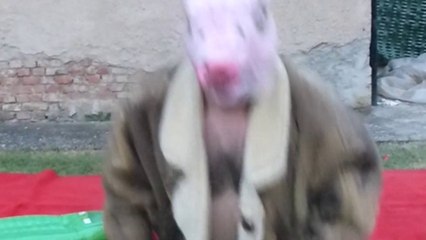 SANT'ANNA 2015 CHRISTMAS EDITION