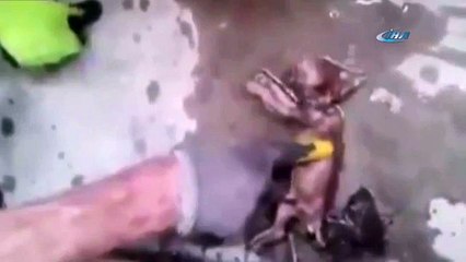 Kalp masajıyla hayata döndü