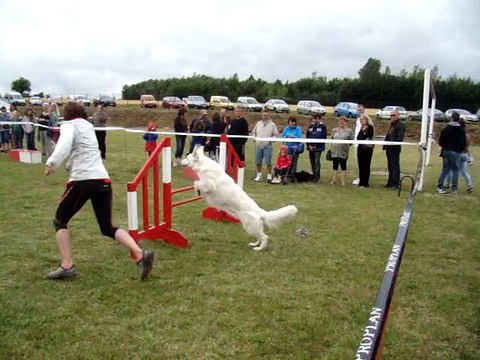 démonstration d'agility a herbelles le 13/07/2015