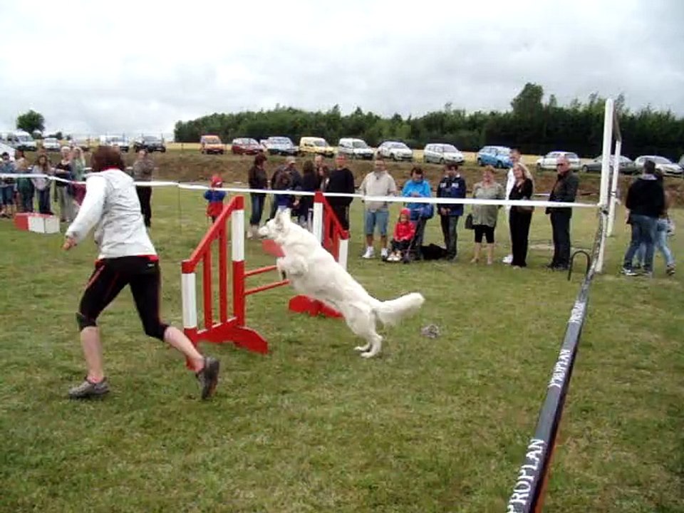 démonstration d'agility a herbelles le 13/07/2015