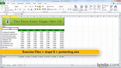 MS Excell Sharing a workbook