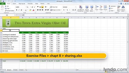 MS Excell Tracking changes