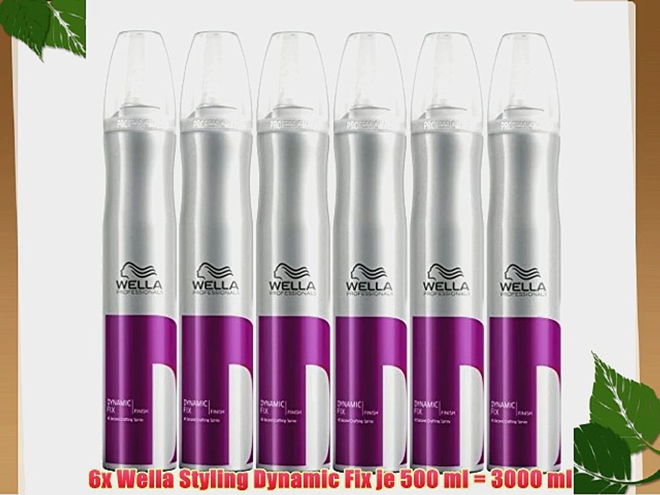 6x Wella Styling Dynamic Fix je 500 ml = 3000 ml