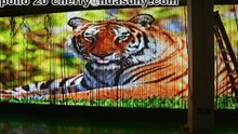 Huasun Apollo soft transparent affichage LED curtain,écran LED