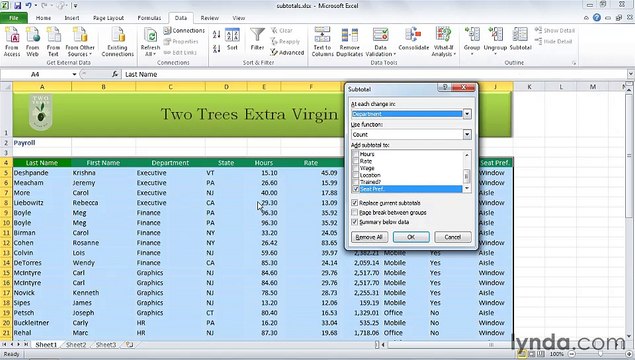 MS Excell Inserting automatic subtotals