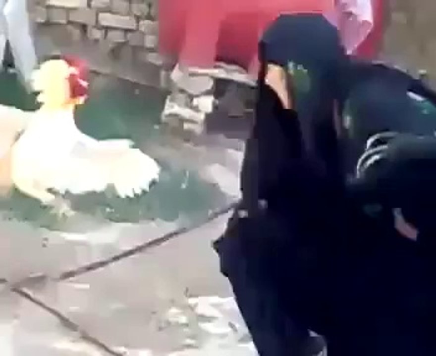 لڑکی اور مرغے کی لڑائی ۔۔ ہاہاہاہا