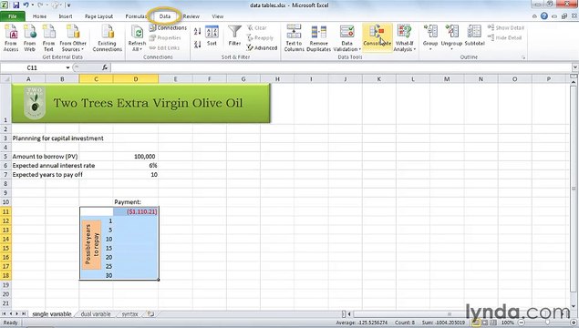 MS Excell Using data tables in formulas