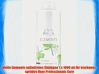 Wella Elements sulfatfreies Shampoo 1 x 1000 ml f?r trockenes-spr?des Haar Professionals Care