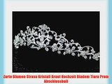 Zarte Blumen Strass Kristall Braut Hochzeit Diadem Tiara Prom Abschlussball