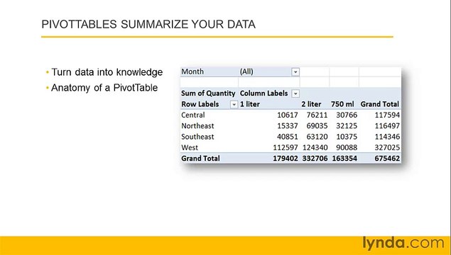 MS Excell Discovering PivotTables