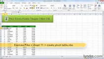 MS Excell Creating a basic PivotTable