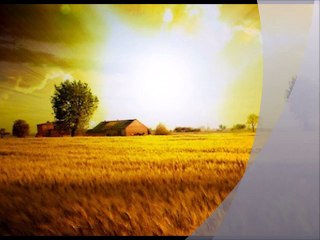 I CAMALEONTI - Mamma mia