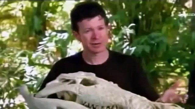 Wildlife Nature Documentary Africa Animals : Lions, Hyenas, Super Crocodiles, Elephant was Hunting