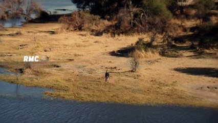 20H45 - Mardi 14 Juillet - Miracles de la nature : super organismes