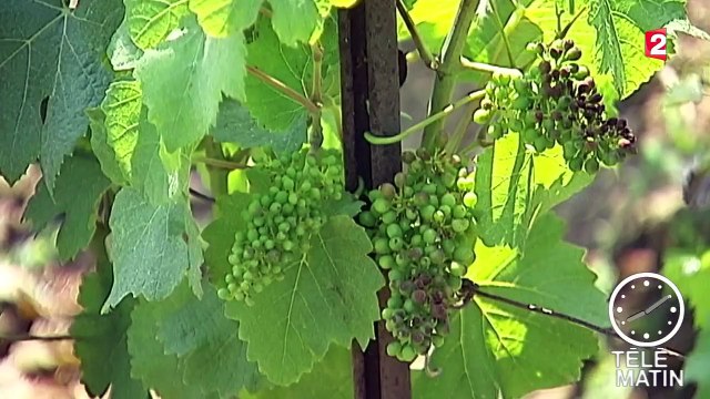 Unesco : les nouveaux inscrits au patrimoine mondial de l'humanité