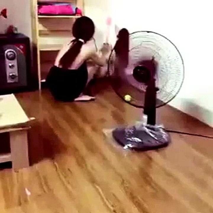 FUNNY DOGS 13-7-15