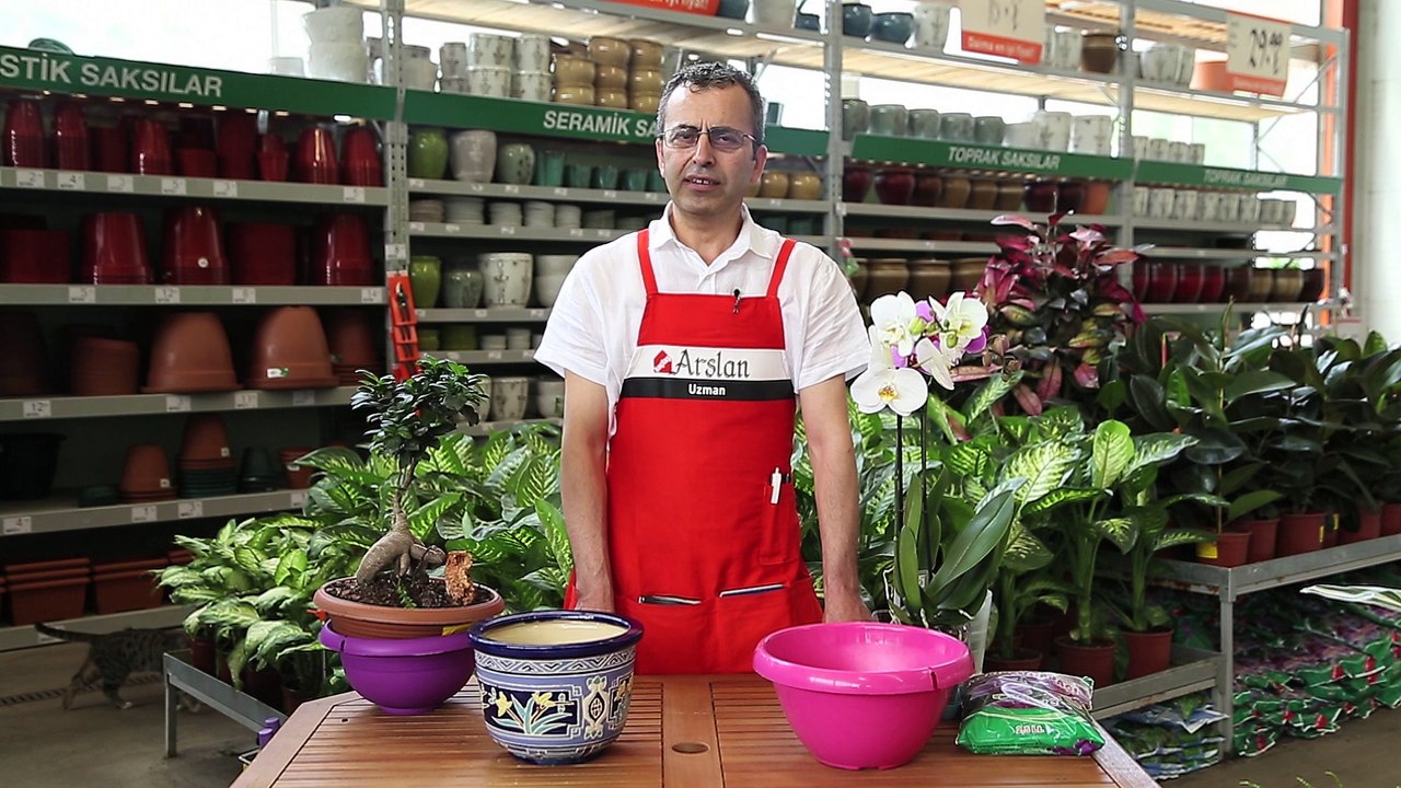 Hangi Çiçeğe Hangi Saksı Kullanılmalı?