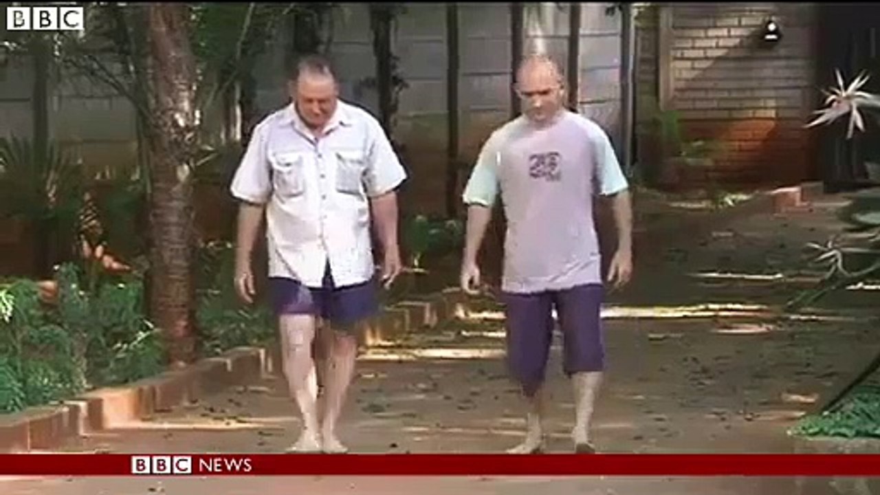 FUNNY 2014 FUNNYFUNYY 2014 new funny Zimbabwe elephants poisoned by cyanide in Hwange Park