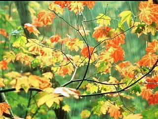 Gheorghe Iovu - trecerea timpului