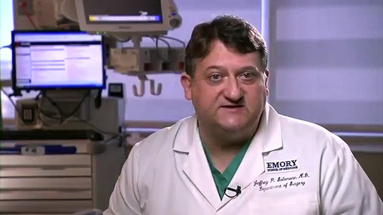 Anatomy of the Spinal Cord and How it Works _