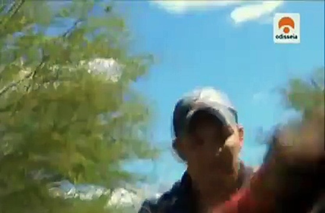 Documental  Perros