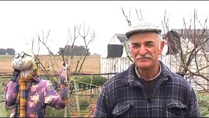 Huerta CASEFE. Cultivo hidropónico en Uruguay