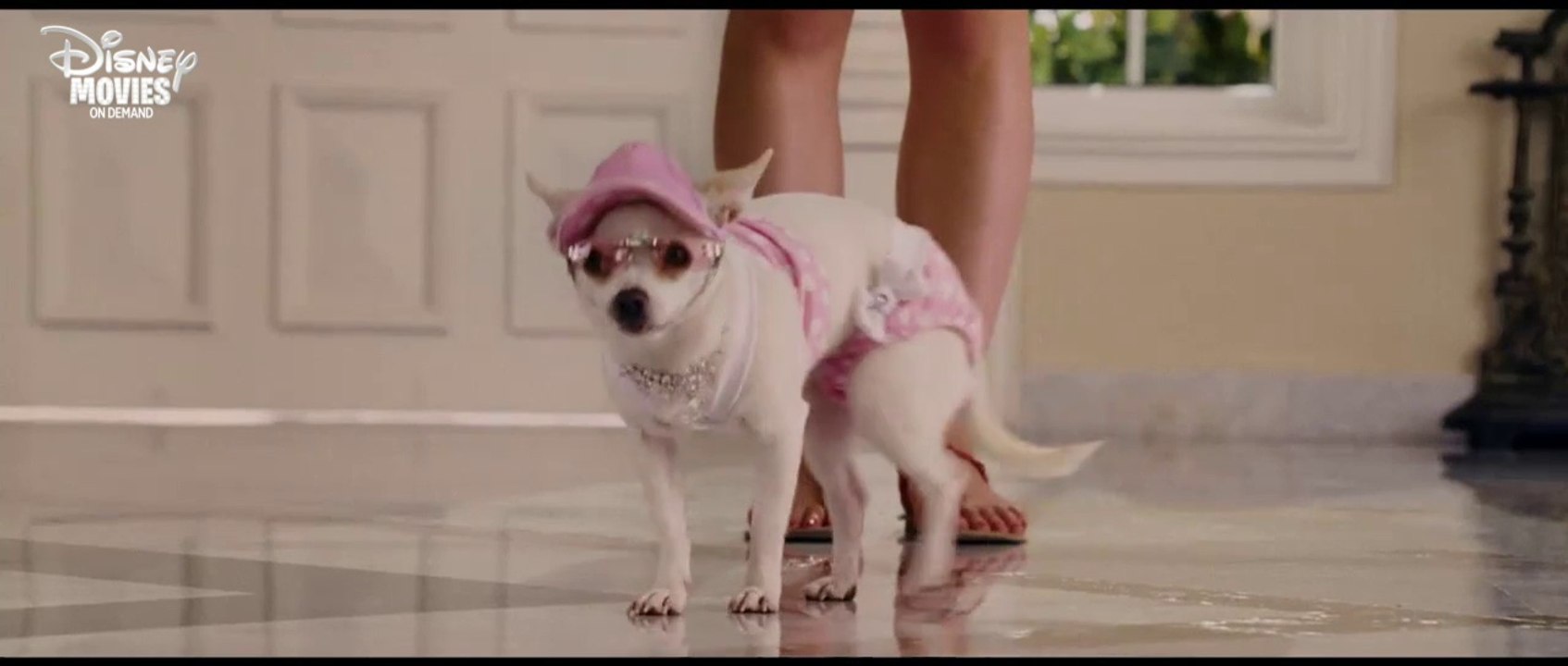 Beverly Hills Chihuahua - ich bin doch nicht Lassie!