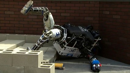 Robots getting drunk and falling! DARPA Parody