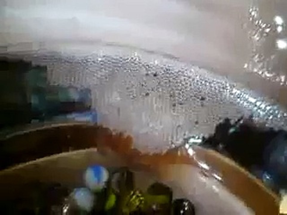 My Betta Fish's Bubble Nest !!!