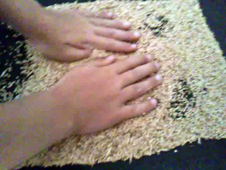 TAP Chabottes : Effets spéciaux avec des graines