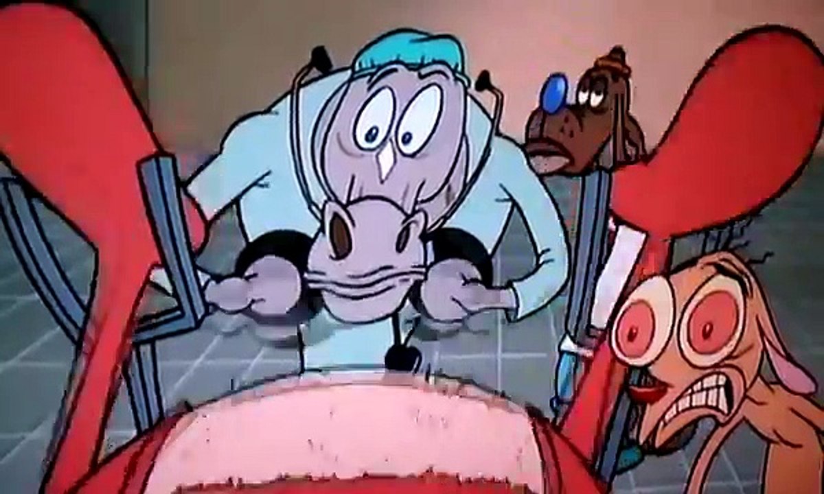 WTF Ren and Stimpy