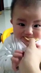 Whatsapp Funny Videos Funny Baby -
