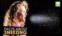 Sneezing - Facts | Health Tone Tips