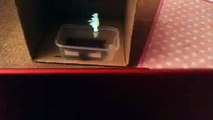 Megpoid Gumi ECHO DIY hologram