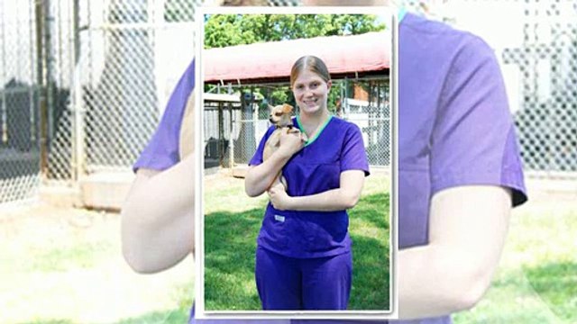 Charlotte Veterinary Services videos - Dailymotion